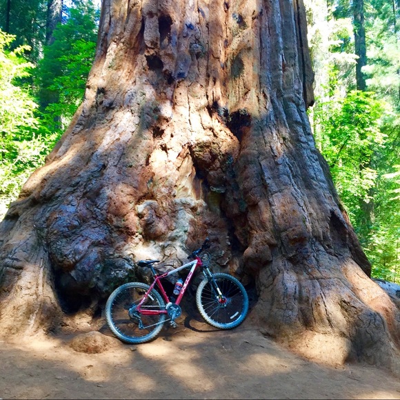 Meet your Posher, Melinda - Picture 8 of 16